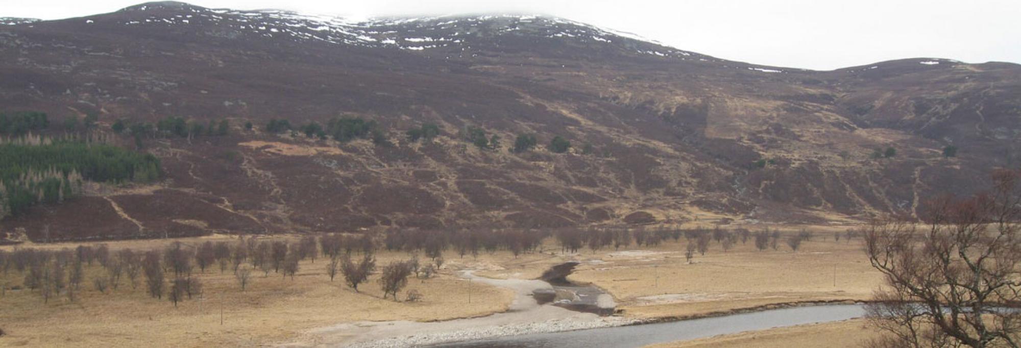 river-and-floodplain